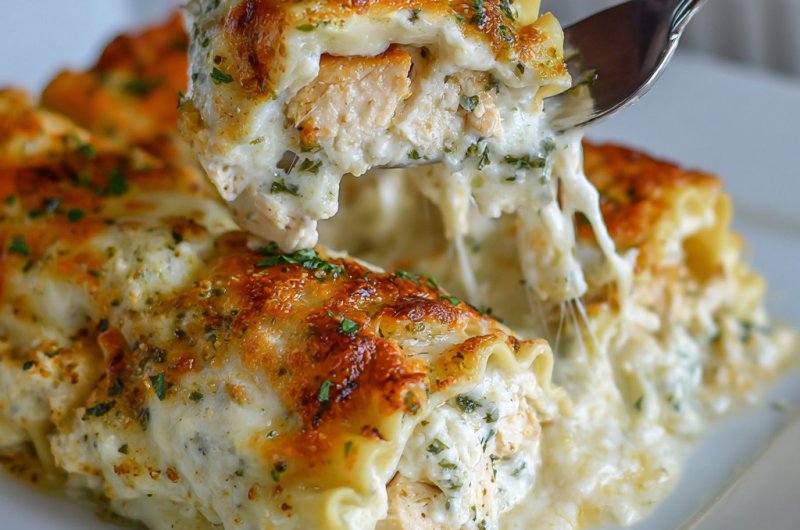 Alfredo Chicken Lasagna Rolls